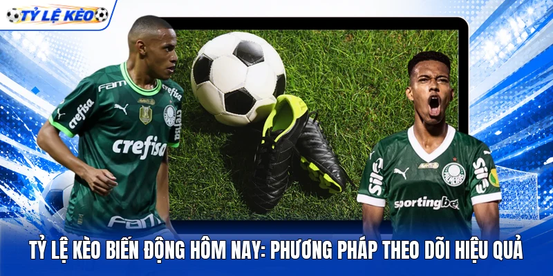 Tỷ Lệ Kèo Biến Động Hôm Nay: Phương Pháp Theo Dõi Hiệu Quả 1 Tỷ Lệ Kèo Biến Động Hôm Nay: Phương Pháp Theo Dõi Hiệu Quả